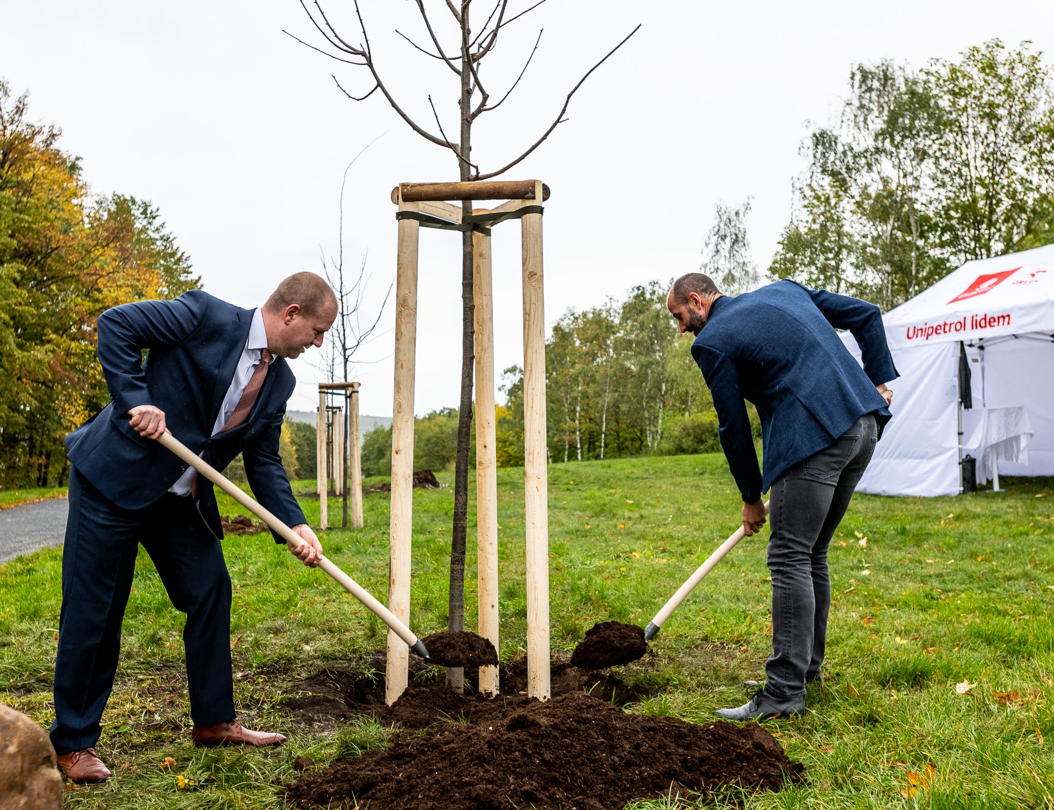 V mosteckém parku Šibeník jsou nové stromy za milion - na přání obyvatel